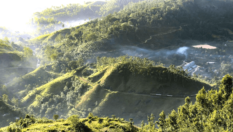 Demodara Railway Spiral Viewpoint: The Jungle Loop